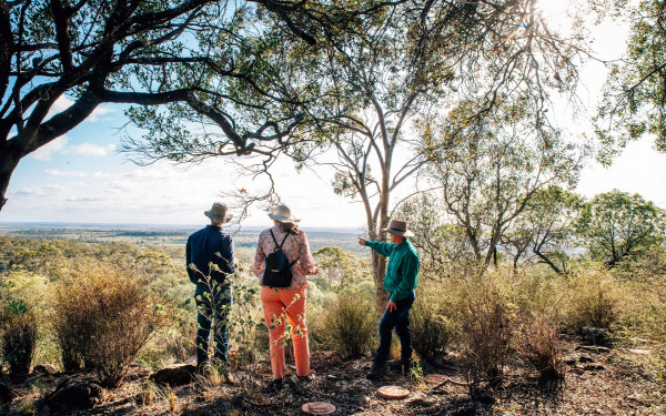 Landscape and Legacy in Roma